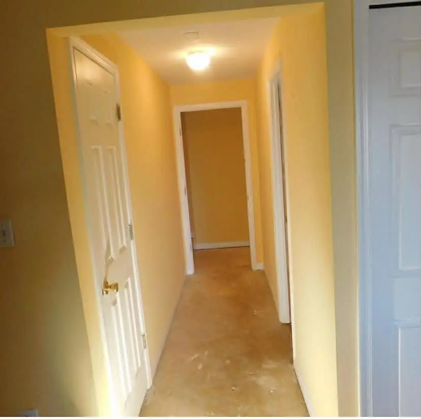 Left Image